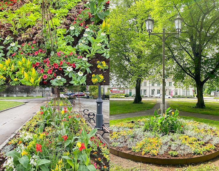 En blomrabatt med olika sorters blommor vid Stora torget.